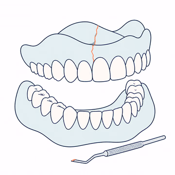 Editorial illustration of a fractured denture and repair instrument